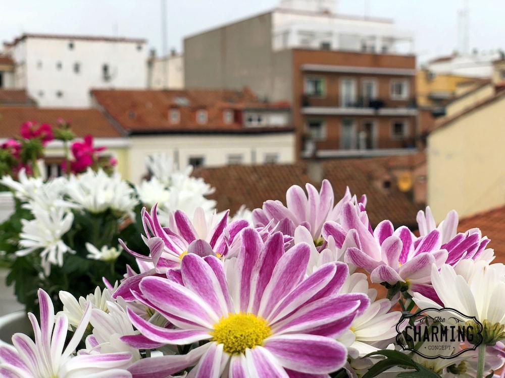 Charming Oasis In The Centre Of Madrid Διαμέρισμα Εξωτερικό φωτογραφία